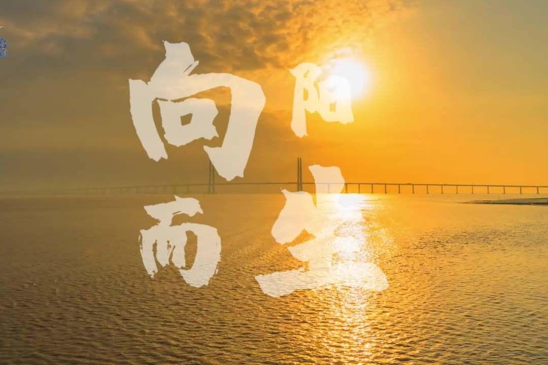 用《向阳而生》打开台州